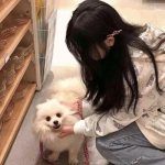 爆笑大乱斗bt版手游下载